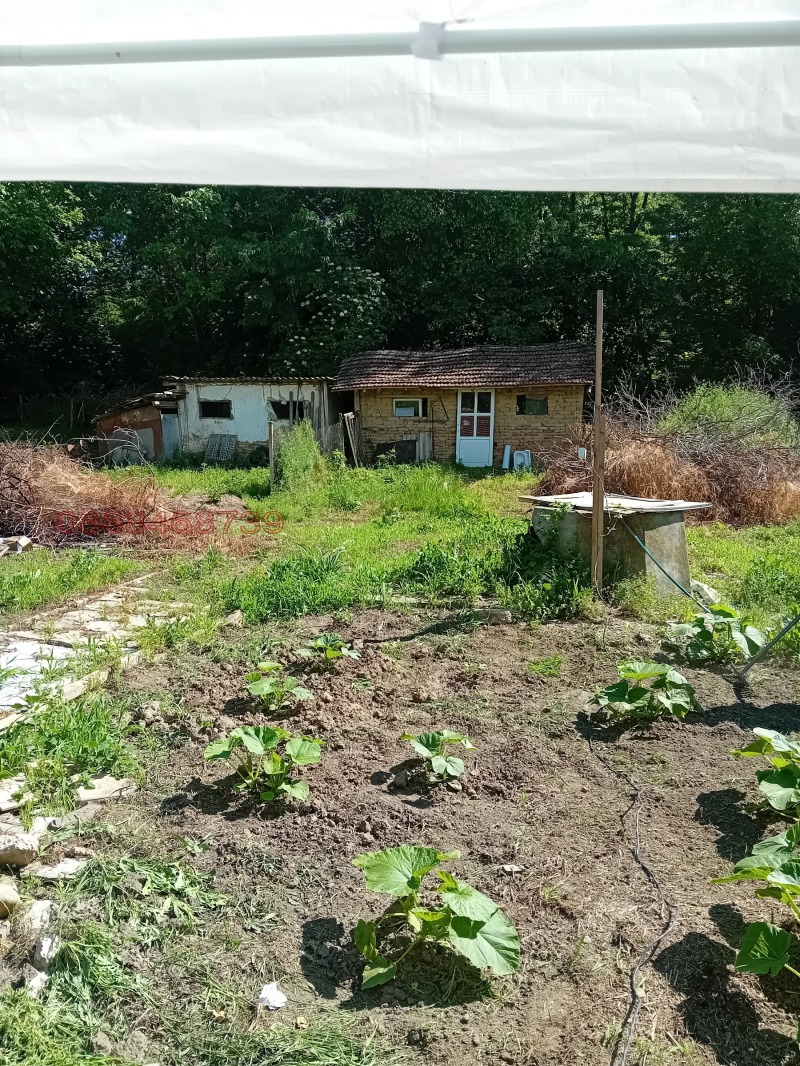 Продава КЪЩА, с. Долно Линево, област Монтана, снимка 4 - Къщи - 52780549