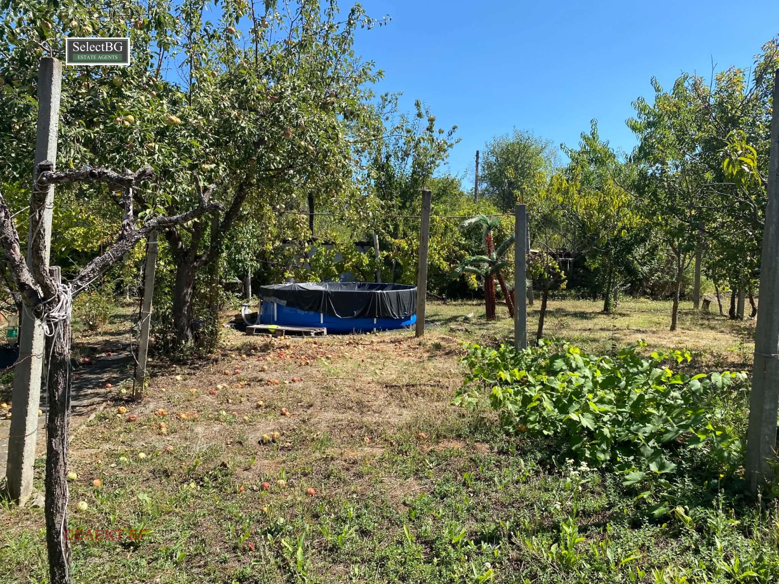 Продава КЪЩА, с. Туркинча, област Габрово, снимка 2 - Къщи - 56005428