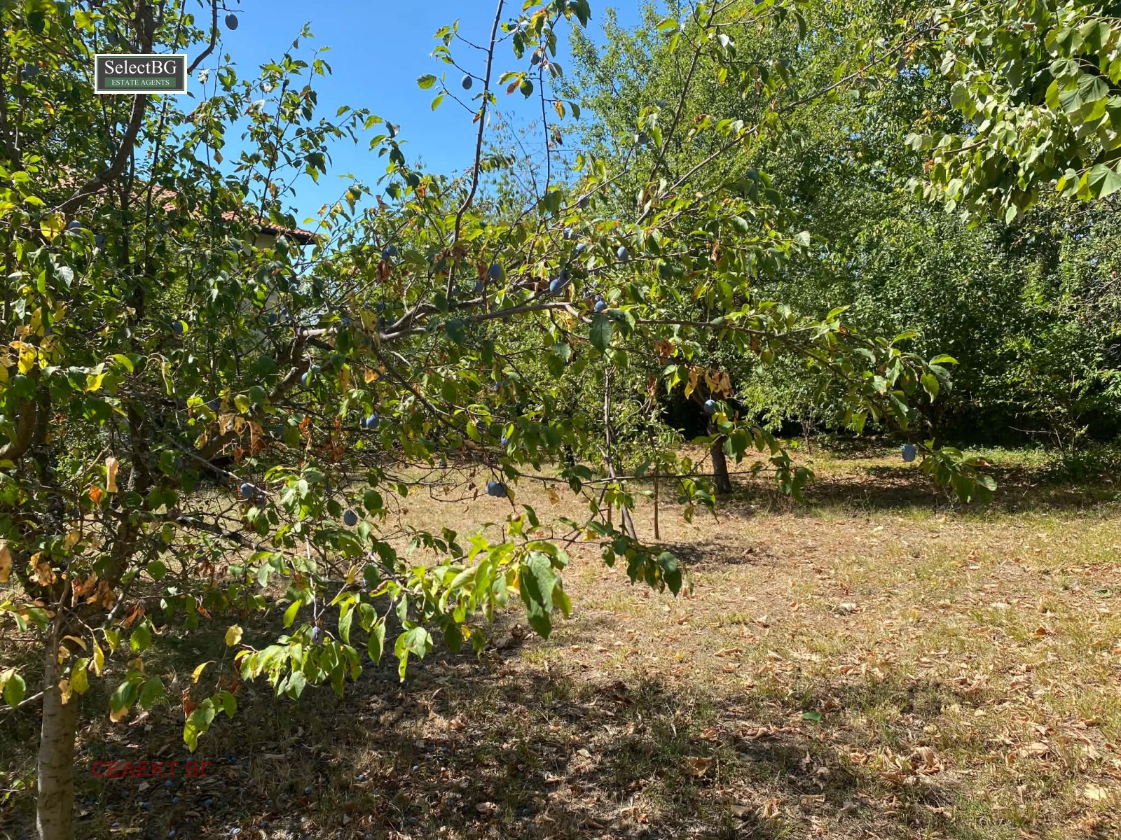 Продава КЪЩА, с. Туркинча, област Габрово, снимка 7 - Къщи - 56005428