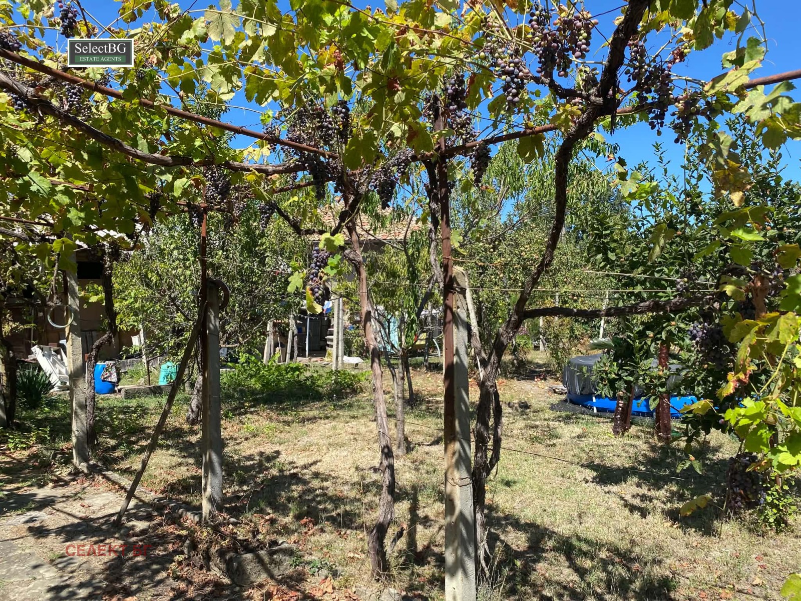 Продава КЪЩА, с. Туркинча, област Габрово, снимка 12 - Къщи - 56005428