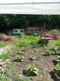 Продава КЪЩА, с. Долно Линево, област Монтана, снимка 4