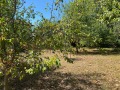 Продава КЪЩА, област Габрово, с. Туркинча • 50000 € • 41383195 7