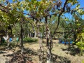 Продава КЪЩА, област Габрово, с. Туркинча • 50000 € • 41383195 12