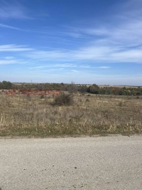 ������ ������� ������