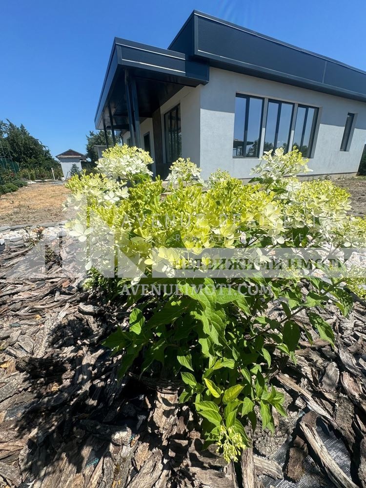 Продава КЪЩА, с. Скутаре, област Пловдив, снимка 4 - Къщи - 56169904