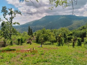 Парцел град София, в.з.Черния кос 5