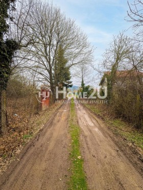 ����� ������� ������,���� �����, �-� �����������