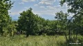 Продава ПАРЦЕЛ, с. Очуша, област София област, снимка 1