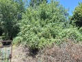 Продава ПАРЦЕЛ, гр. София, с. Лозен, снимка 1