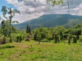 Продава ПАРЦЕЛ, град София, в.з.Черния кос • 130000 € / 254257.90 лв. • 92460263 5