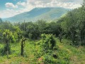 Продава ПАРЦЕЛ, град София, в.з.Черния кос • 130000 € / 254257.90 лв. • 92460263 2