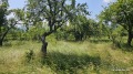 Продава ПАРЦЕЛ, област София, с. Очуша • 11000 € • 11391531 — Holmes.bg
