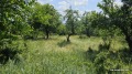 Продава ПАРЦЕЛ, област София, с. Очуша • 11000 € • 11391531 — Holmes.bg