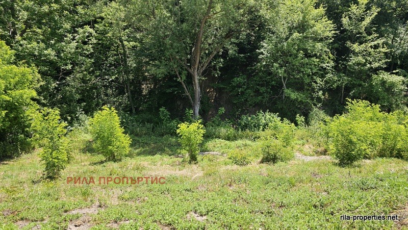 Продава  Парцел област София , с. Пчелин , 2628 кв.м | 55082769 - изображение [8]