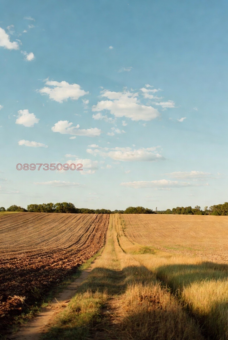 Продава ЗЕМЕДЕЛСКА ЗЕМЯ, с. Мусачево, област София област