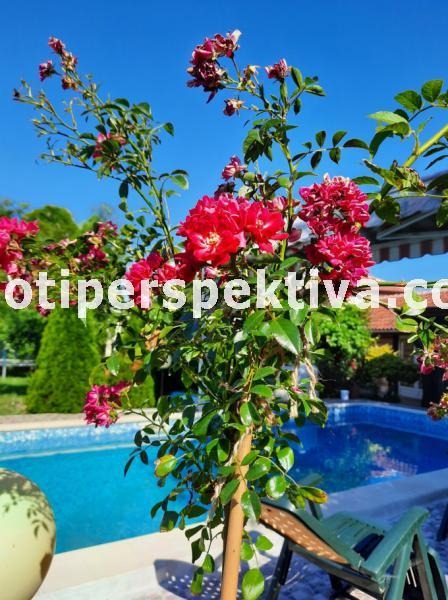 Продава КЪЩА, с. Церетелево, област Пловдив, снимка 2 - Къщи - 52489777