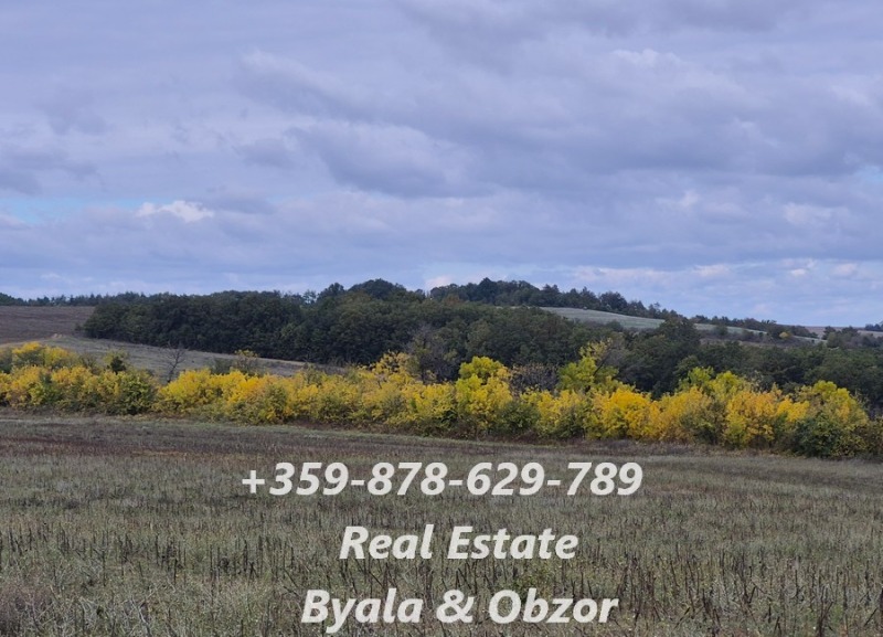 Продава ЗЕМЕДЕЛСКА ЗЕМЯ, гр. Бяла, област Варна, снимка 3 - Земеделска земя - 52634649