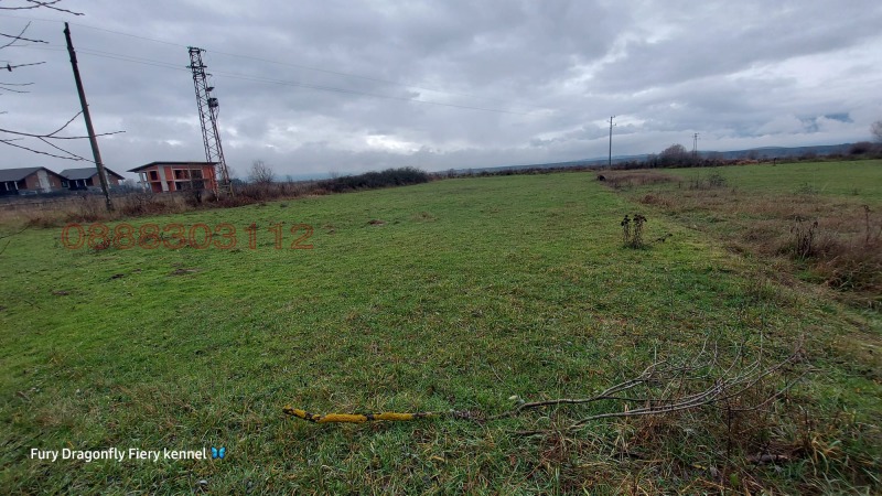 Продава ЗЕМЕДЕЛСКА ЗЕМЯ, с. Баня, област Благоевград, снимка 3 - Земеделска земя - 52782693