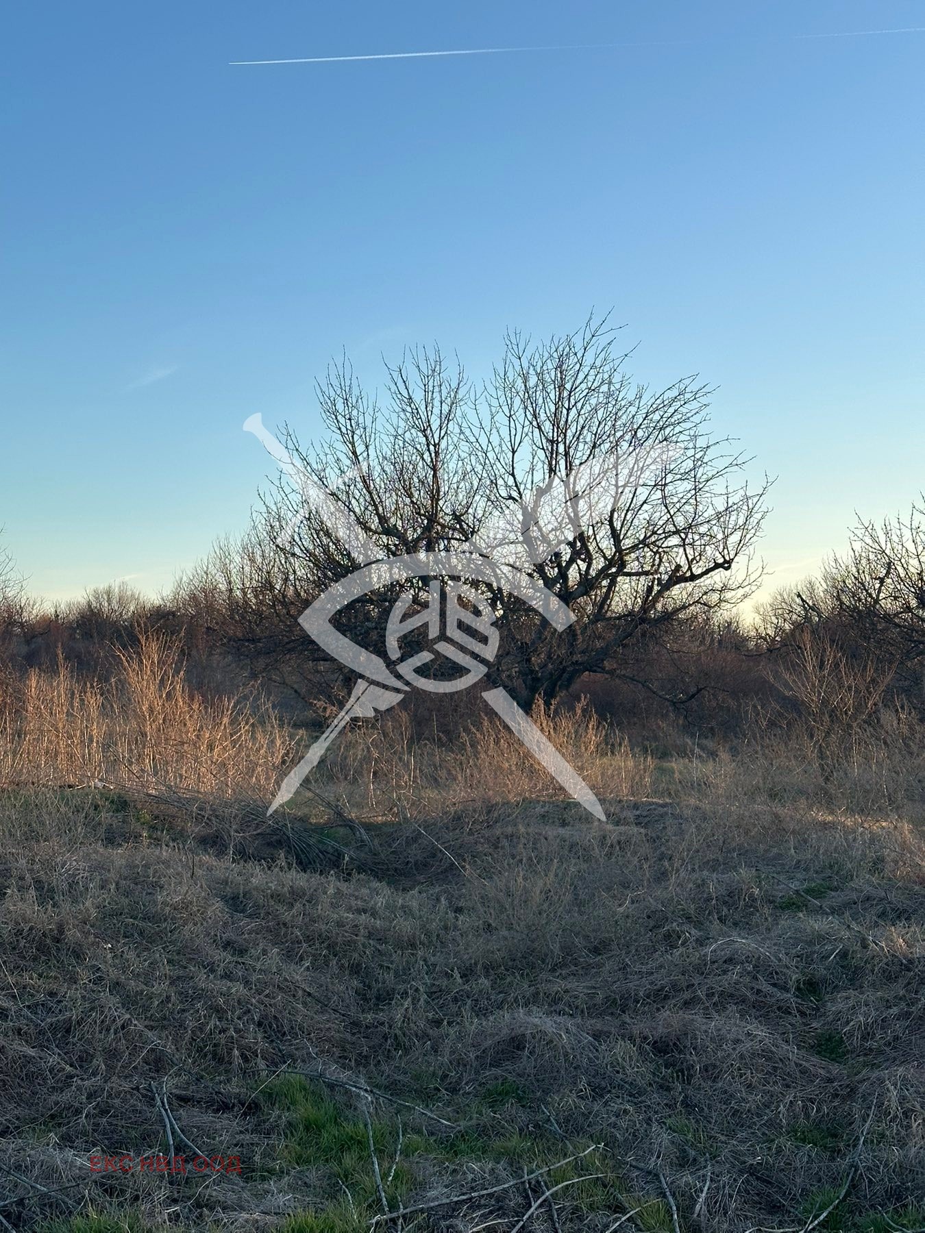 Продава ЗЕМЕДЕЛСКА ЗЕМЯ, с. Конуш, област Пловдив, снимка 2 - Земеделска земя - 53832115