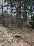 Продава ПАРЦЕЛ, с. Гълъбово, област Пловдив, снимка 1