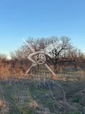 Продава ЗЕМЕДЕЛСКА ЗЕМЯ, с. Конуш, област Пловдив, снимка 2