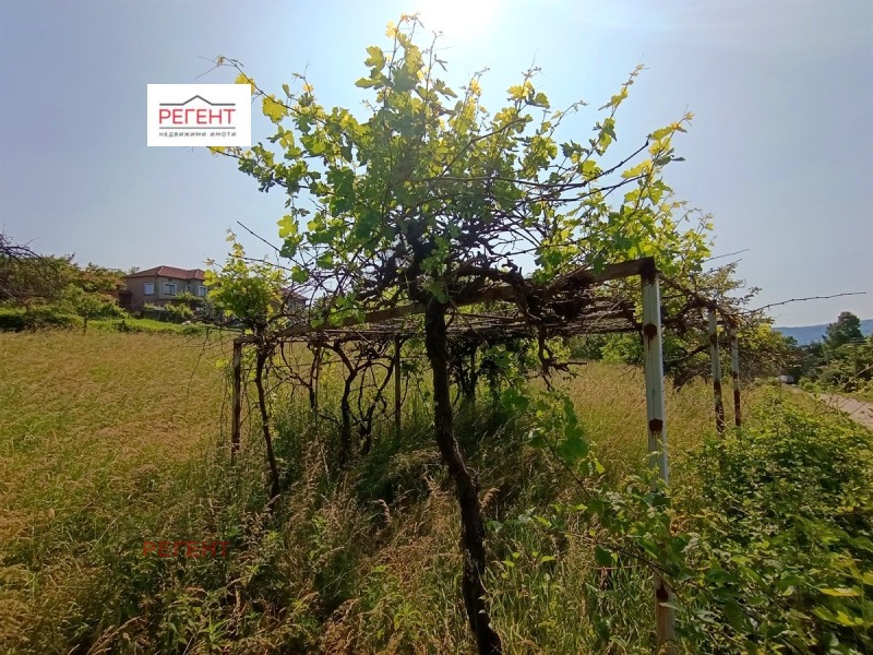 Til salg  Grund region Gabrovo , Sevlievo , 1750 kvm | 88103929 - billede [3]