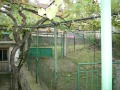 Продава КЪЩА, с. Главан, област Стара Загора, снимка 6