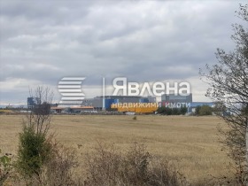 ����� ������� ������,���� �����, ���������
