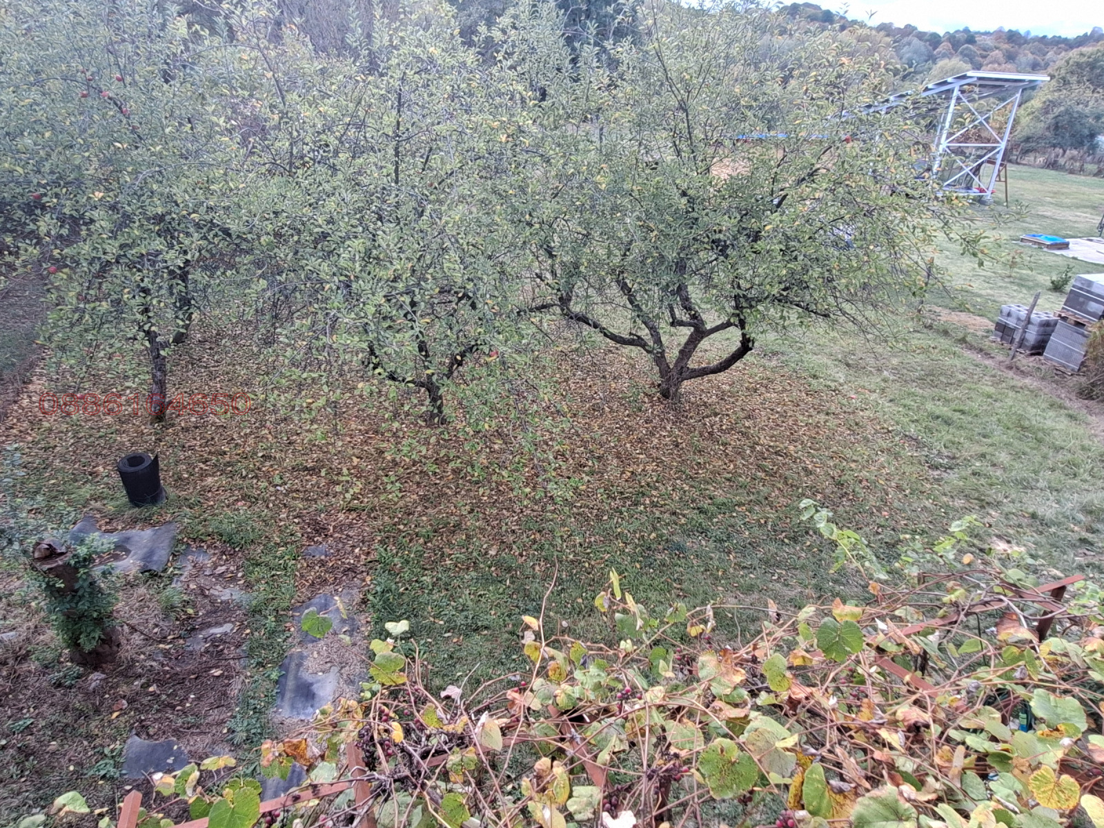 ������� ���� | Imot.bg � ����������� 10