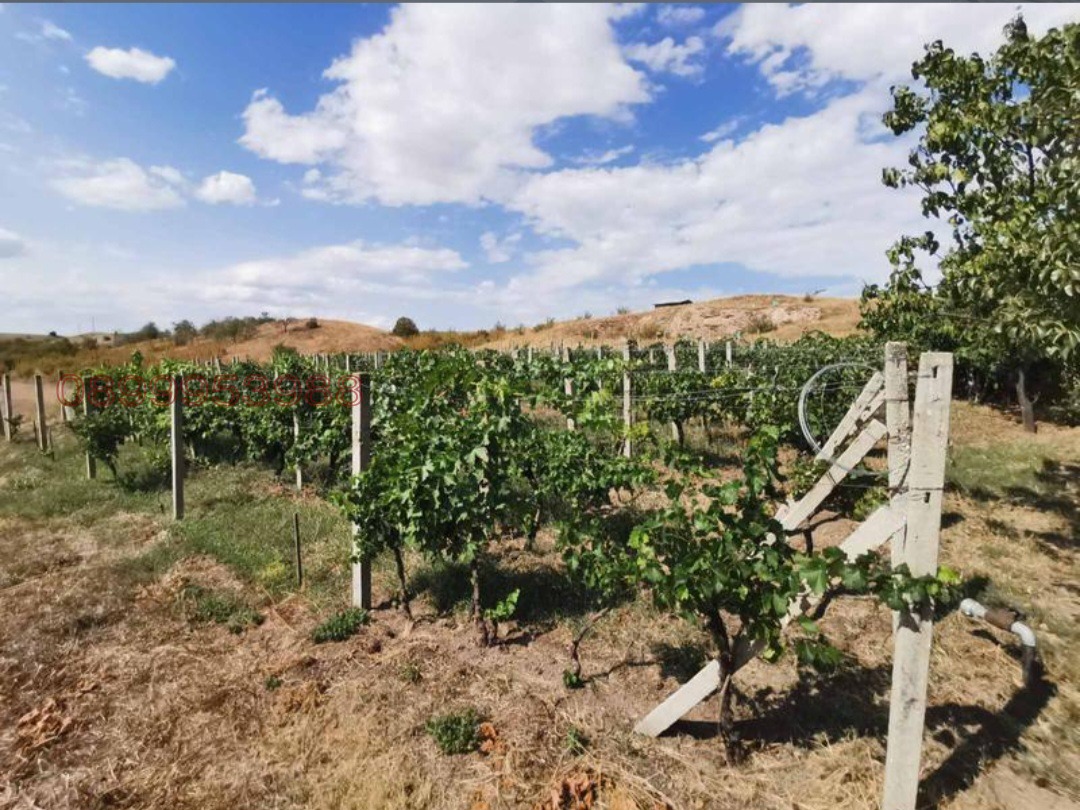 ������� ����. ��������� | Imot.bg � ����������� 2