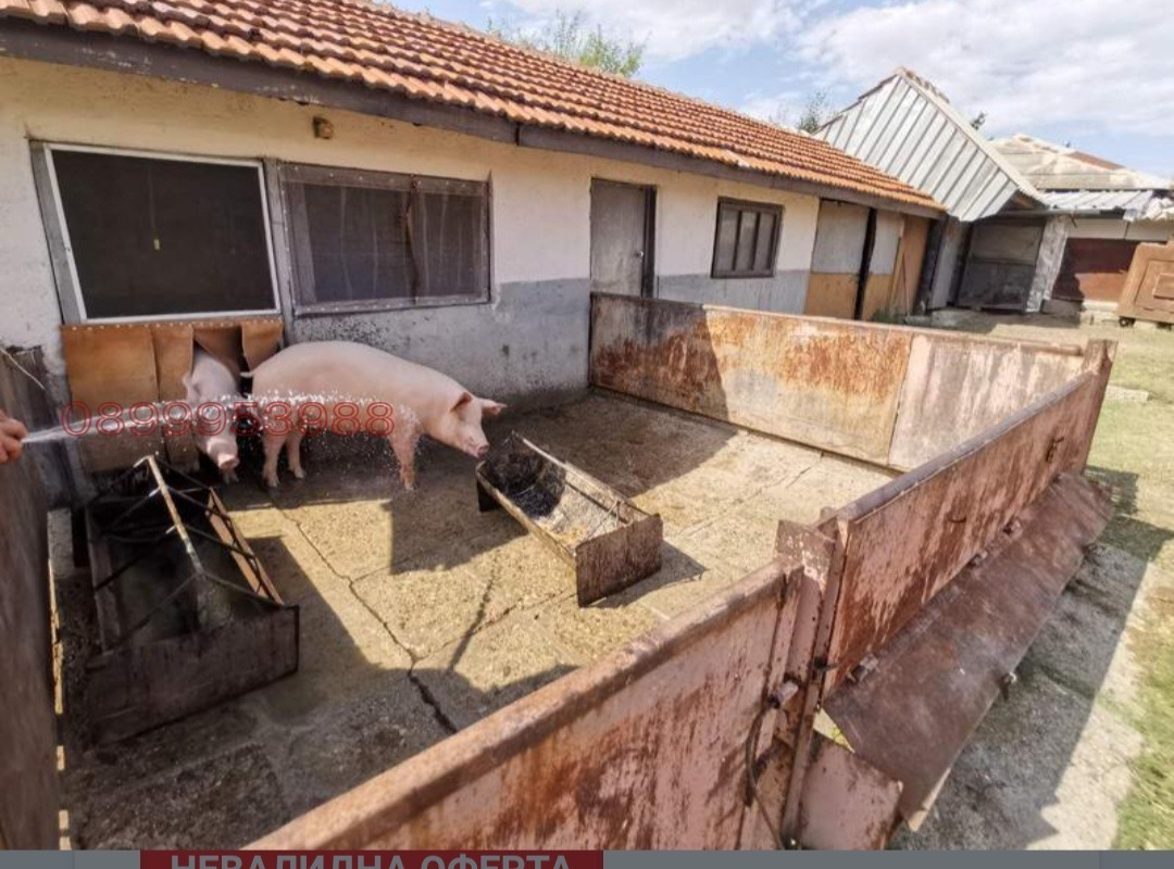 ������� ����. ��������� | Imot.bg � ����������� 9