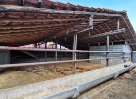 ������� ����. ��������� | Imot.bg � ����� ������ 4