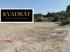 ����� ������� ������,���� �����, �-� ����������� ���