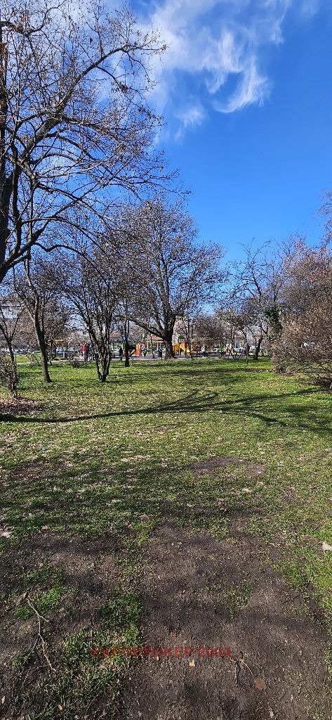 Продава АТЕЛИЕ, ТАВАН, гр. София, област София-град, снимка 14 - Апартаменти - 53652183