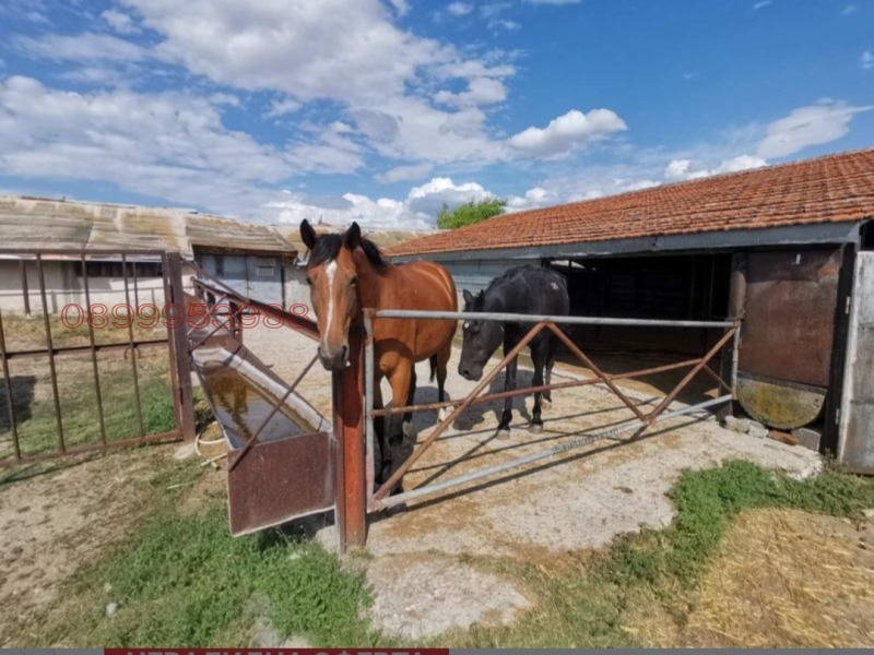 Продава ПРОМ. ПОМЕЩЕНИЕ, с. Овчеполци, област Пазарджик, снимка 8 - Производствени сгради - 53403249