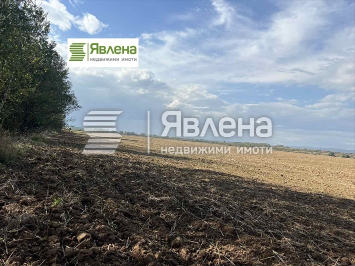 Продава ПАРЦЕЛ, с. Мусачево, област София област, снимка 4 - Парцели - 49457467