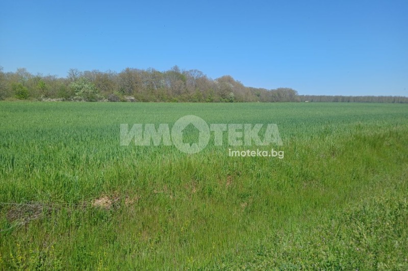 Продава ПАРЦЕЛ в област Варна, с. Шкорпиловци - 3687 кв.м / 280 000 € » 547 632.40 лв., ИМОТЕКА