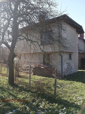 Hus Studena, region Pernik 2