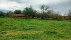 ����� ������� ����,�. �������, ������ ������ �������