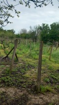 Продава КЪЩА, с. Червена, област Велико Търново, снимка 8