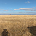 Продава ПАРЦЕЛ, гр. София, гр. Банкя, снимка 3