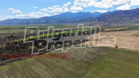 ������ ������� ������