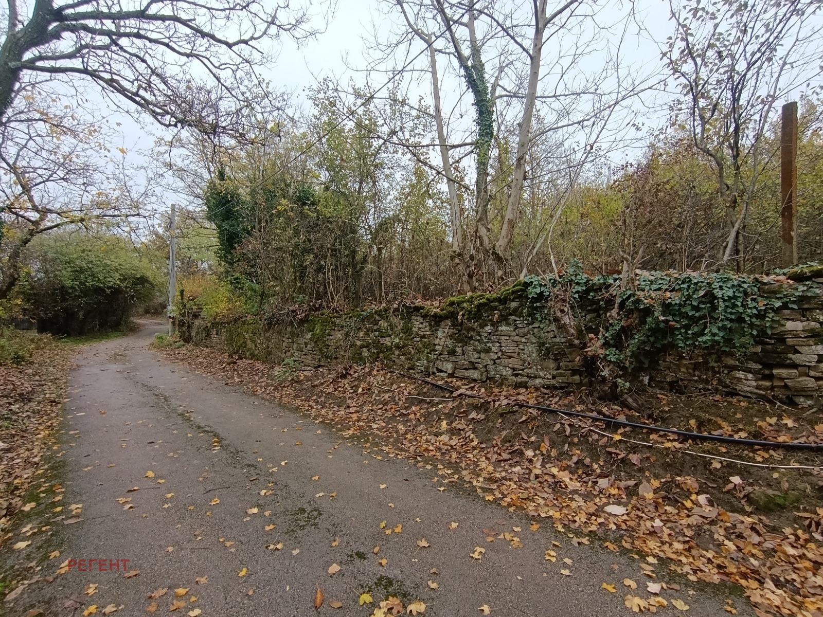 ������� ������ | Imot.bg � ����������� 2