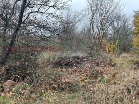 ������� ������ | Imot.bg � ����� ������ 6