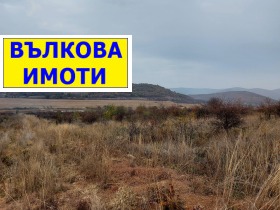 ����� ������� ������,�. ����� �����, ������ ����� ������