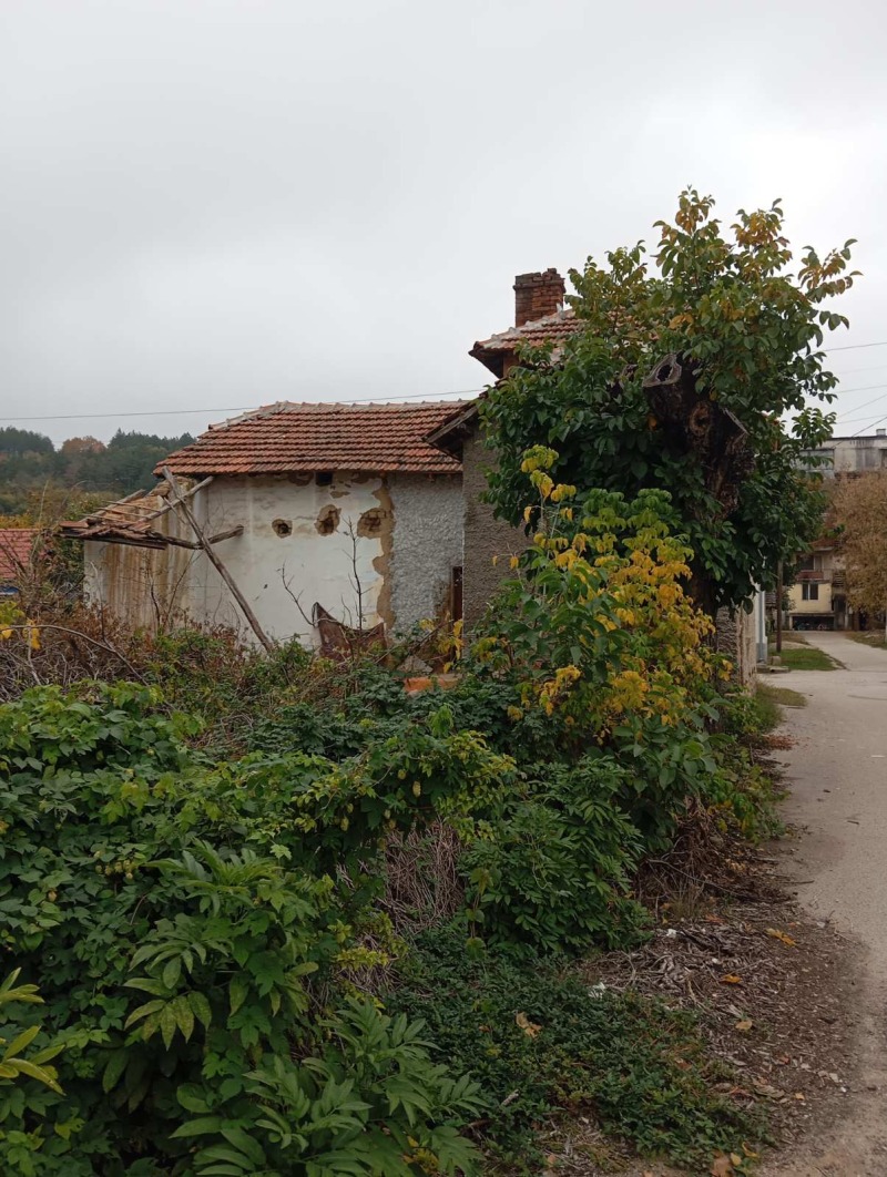 Продава КЪЩА, гр. Димово, област Видин, снимка 2 - Къщи - 52233684