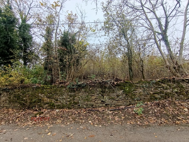 Продава ПАРЦЕЛ, с. Лесичарка, област Габрово, снимка 2 - Парцели - 53228964