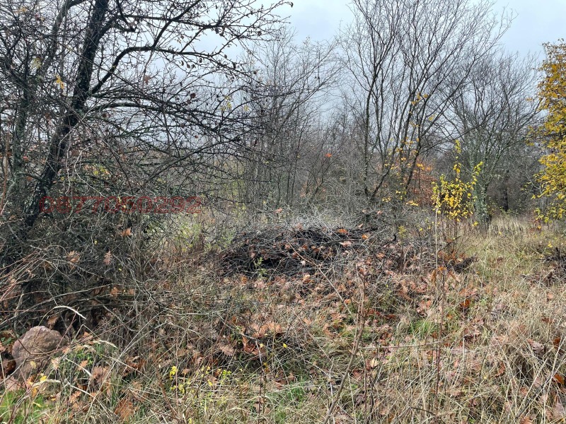 Продава ПАРЦЕЛ, с. Вакарел, област София област, снимка 5 - Парцели - 53272199