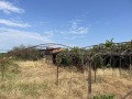 Продава КЪЩА, област Пазарджик, с. Гелеменово • 79000 € • 13177466 — Holmes.bg