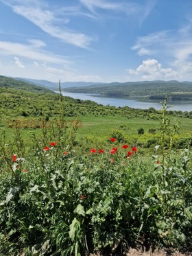 Parcelle yaz. Ptchelina, région Pernik